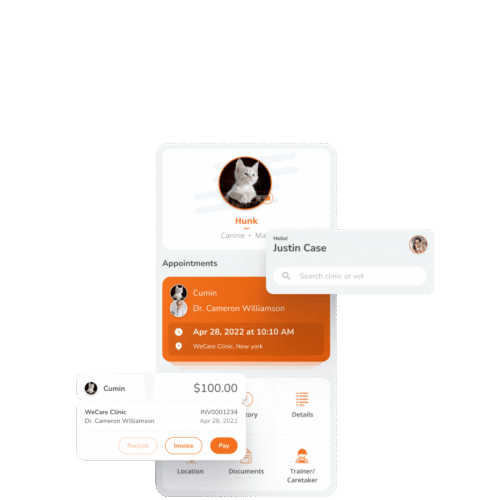 AccuroPet Application
